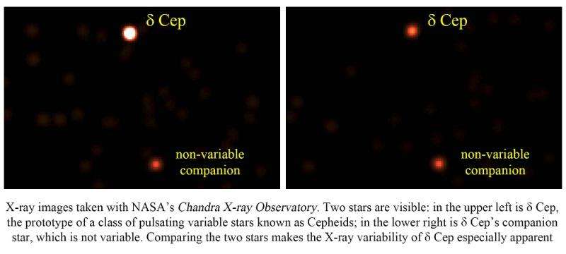 The surprising discovery of a new class of pulsating X-ray stars