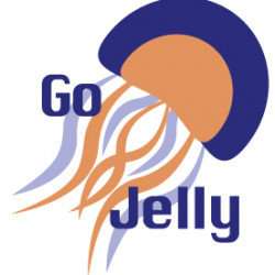 The use of jellyfish blooms as solutions for producing new products