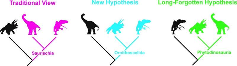 Time to rewrite the dinosaur textbooks? Not quite yet!