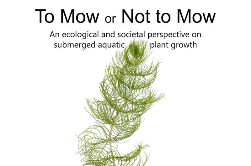 To mow or not to mow: Tackling nuisance growth of water plants at the root