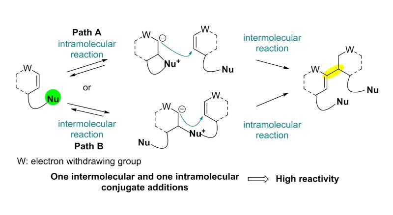 Total synthesis of flueggenine C via an accelerated intermolecular Rauhut-Currier reaction