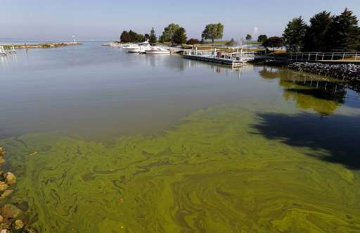 Toxic algae flourishes despite vast sums spent to prevent it