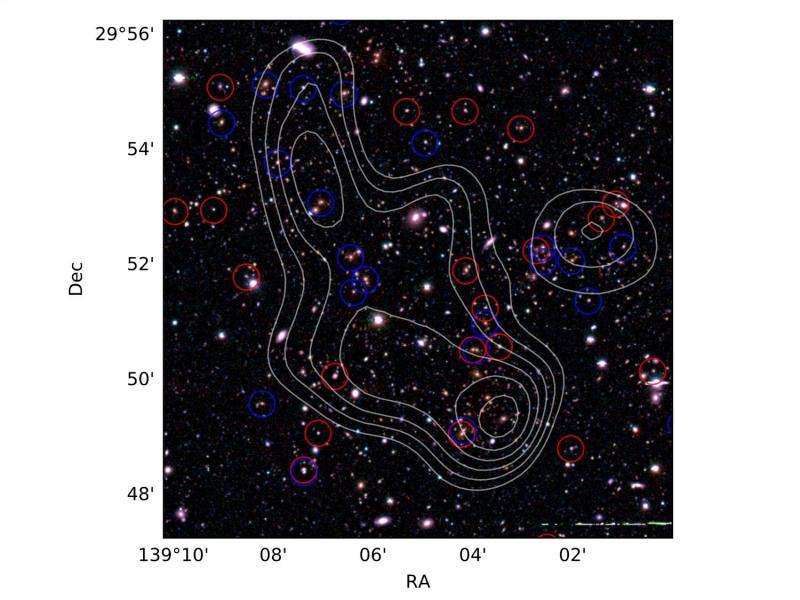 Tracing the cosmic web with star-forming galaxies in the distant universe