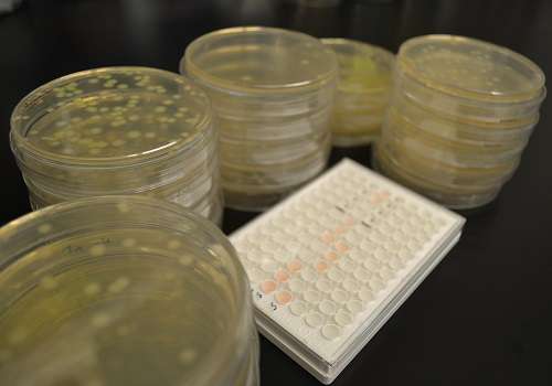 Tracking superbugs for antibiotic resistance