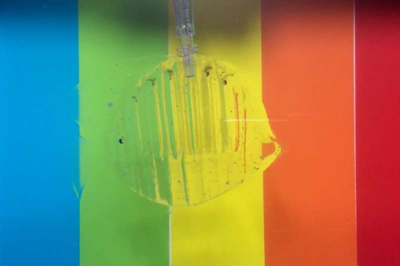 Transparent hydrogel-based robots can catch and release live fish