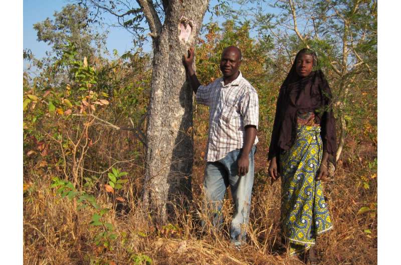 Trees supplement income for rural farmers in Africa