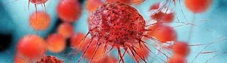 Tumour survival tactics tackled by researchers
