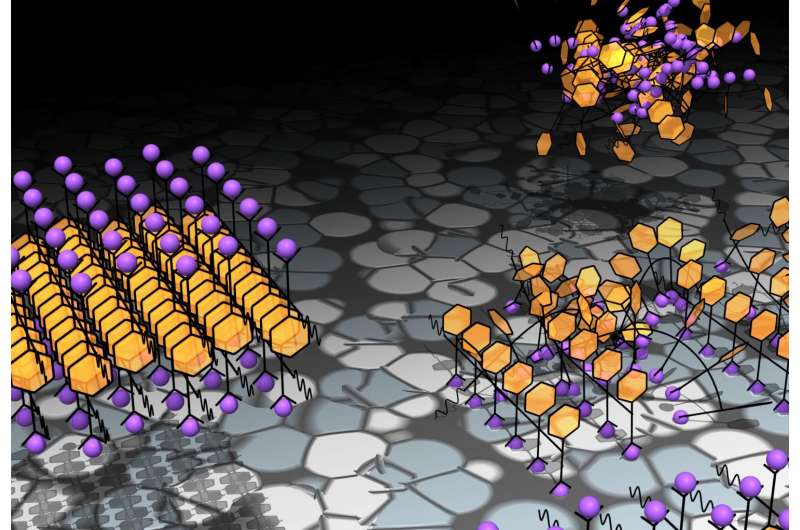Tweaking a molecule's structure can send it down a different path to crystallization