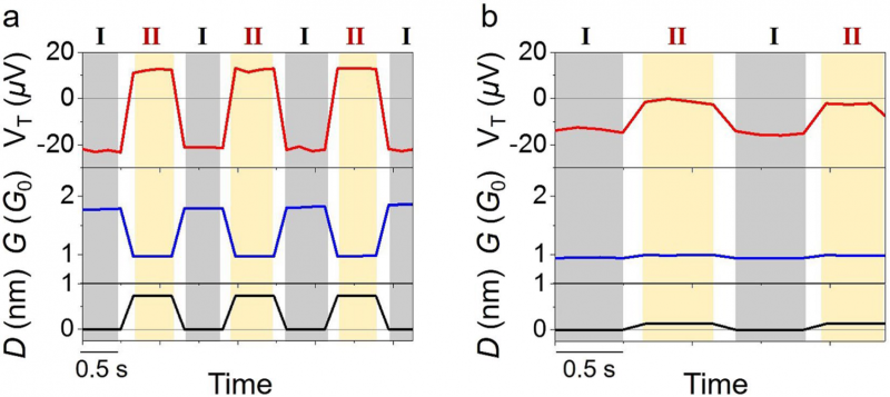 Tweaking thermoelectric voltage across atomic-scale gold junction by mechanical force