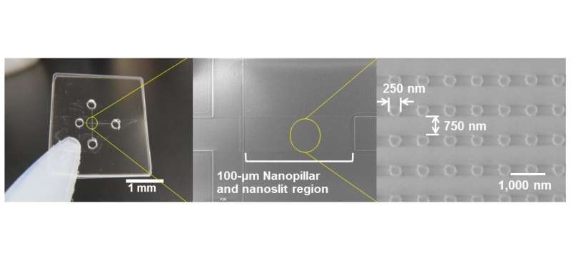 Ultrafast detection of a cancer biomarker enabled by innovative nanobiodevice