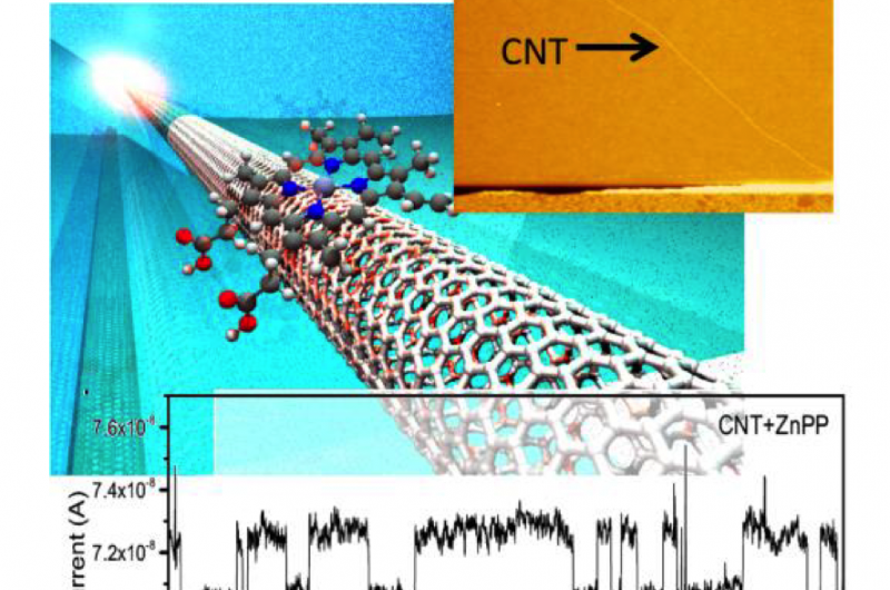 Unique noise signatures from single molecules interacting with carbon nanotube-based electronic devices