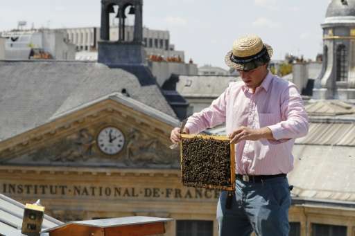 Urban rooftops are one of the ways Paris is fighting against the &quot;worrying&quot; decline in the bee population, a trend Fra