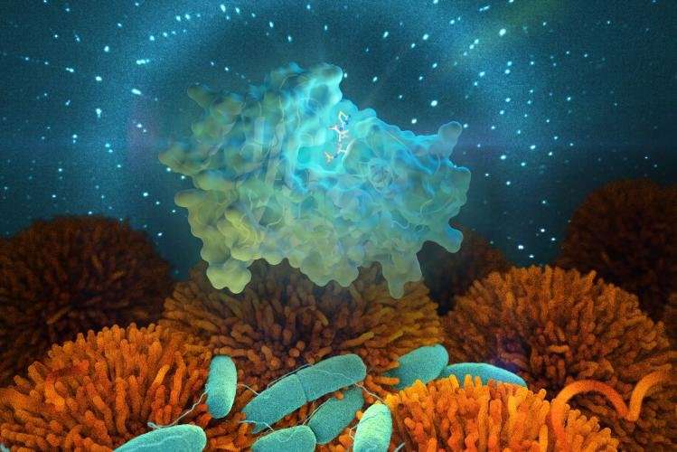Using neutrons to study how resistant bacteria evolve