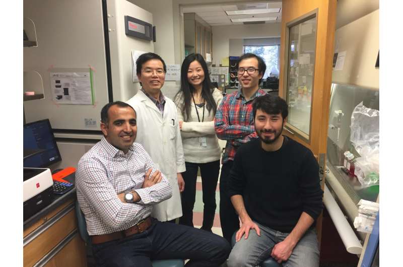 UVA finds way to view genes inside living cells