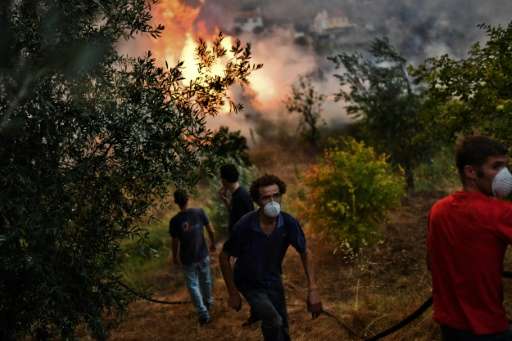 Villagers from Pucarica help to extinguish of a wildfire burning in their orchards close to their village in Abrantes area on Au