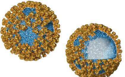Virus inspires new way to deliver cancer drugs