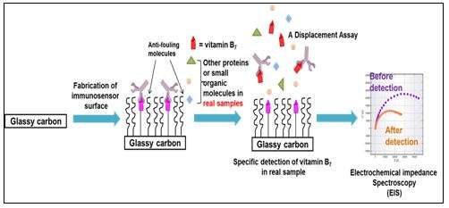 Vitamin B7 monitoring device for food and clinical samples analyses