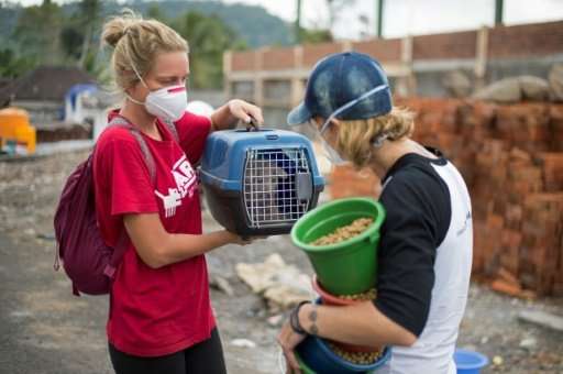 Volunteers are risking their lives to save tens of thousands of animals left at the mercy of a rumbling volcano on the tourist i