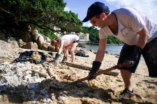 Volunteers braved sweltering heat and humidity to comb one of the worst-affected beaches, filling black bin bags with the lumps 