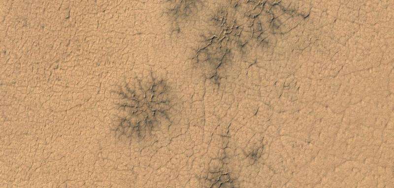 Volunteers find ‘spiders’ on mars - but not where they expected