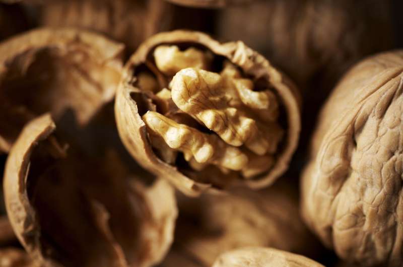 Walnuts may support sperm health, according to new animal research