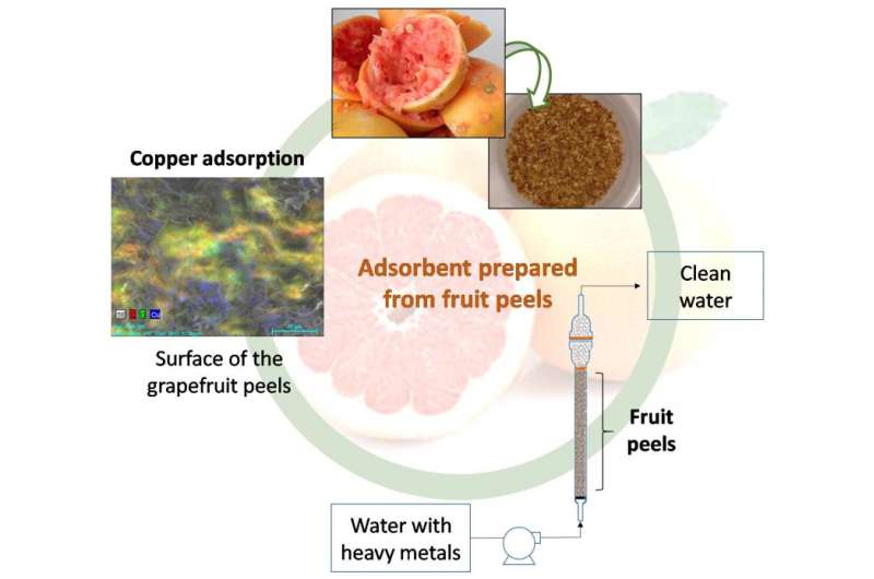 Wastewater cleaned thanks to a new adsorbent material made from fruit peels