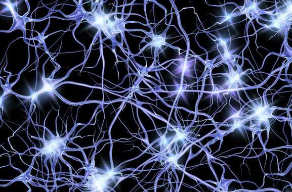 'Waves' of neural activity give new clues about Alzheimer's