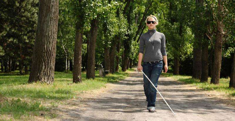 Wearable sensor device helps visually impaired to sense their environment