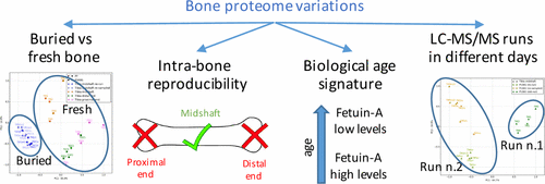What bone proteomics could reveal about the dead