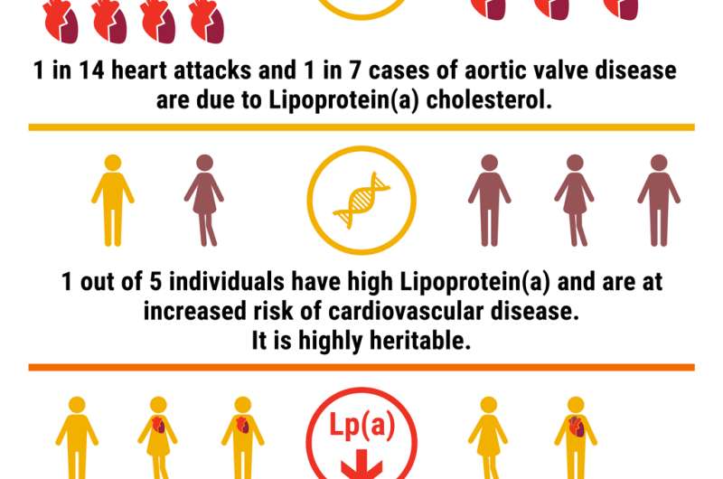 What is high lipoprotein(a), and should I be concerned?