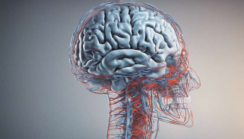 What is traumatic brain injury?