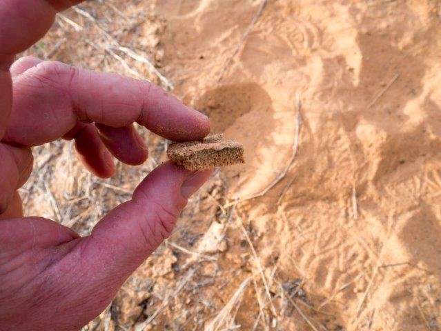 What makes soil, soil? Researchers find hidden clues in DNA
