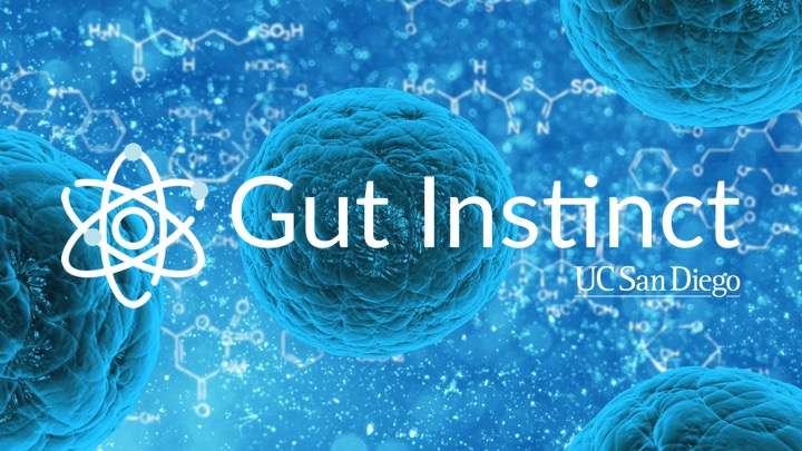 What's your gut instinct?