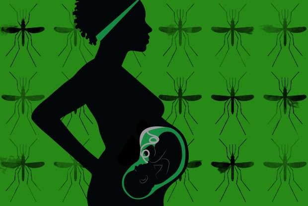 当疟疾在怀孕期间感染胎盘时，婴儿未来的免疫力会受到影响