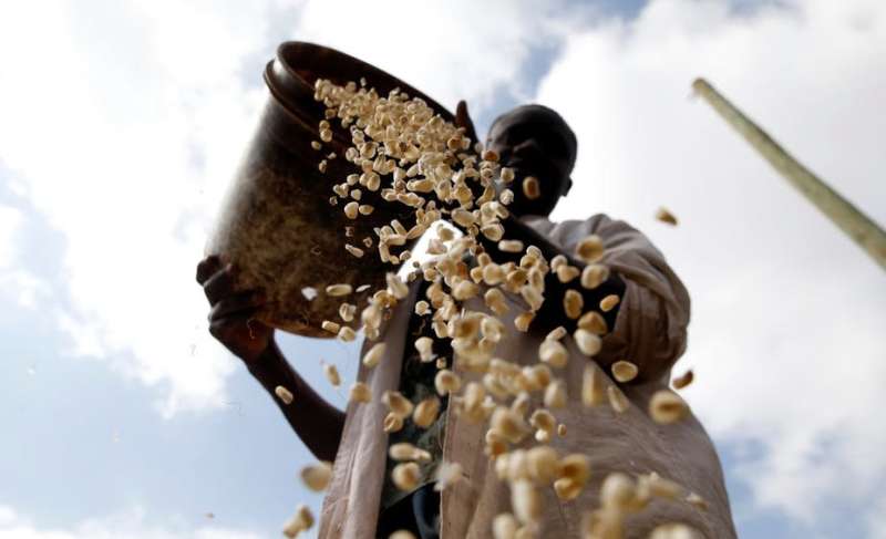 Why Kenya's short-term fixes won't resolve its maize supply crisis
