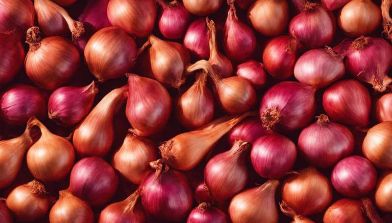 Why onions make us cry (and why some don't)