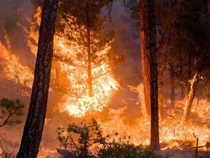 Wildfires pollute much more than previously thought