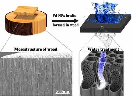 Wood filter removes toxic dye from water