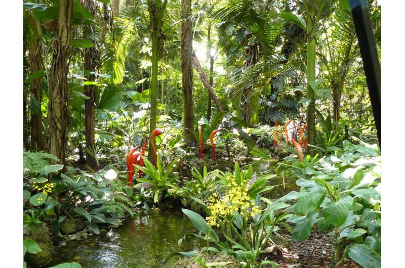 World's botanic gardens contain a third of all known plant species, and help protect the most threatened
