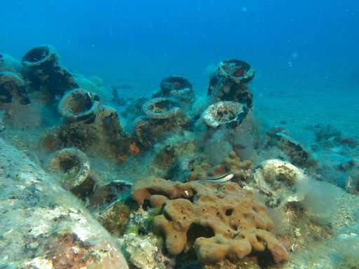 Wrecks, sunken treasures lie under Albania's coastal waters