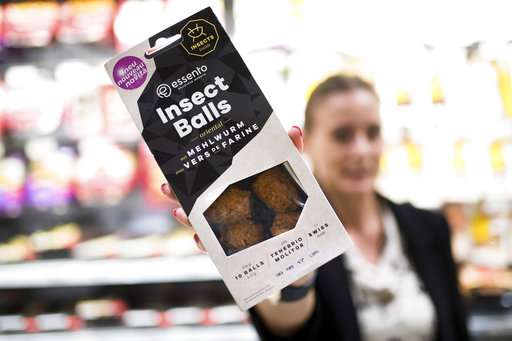 Yuck or yum? Swiss offer insect burgers of mealworm larvae