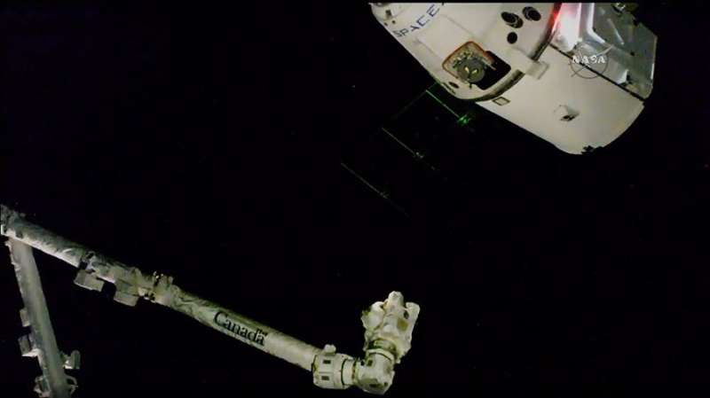 Zero gravity plant growth experiments delivered to space station