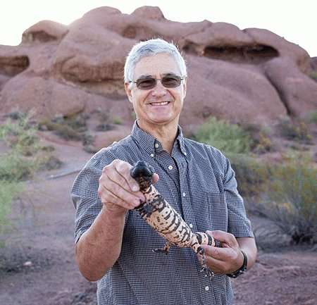 Surprising find in Gila monster study