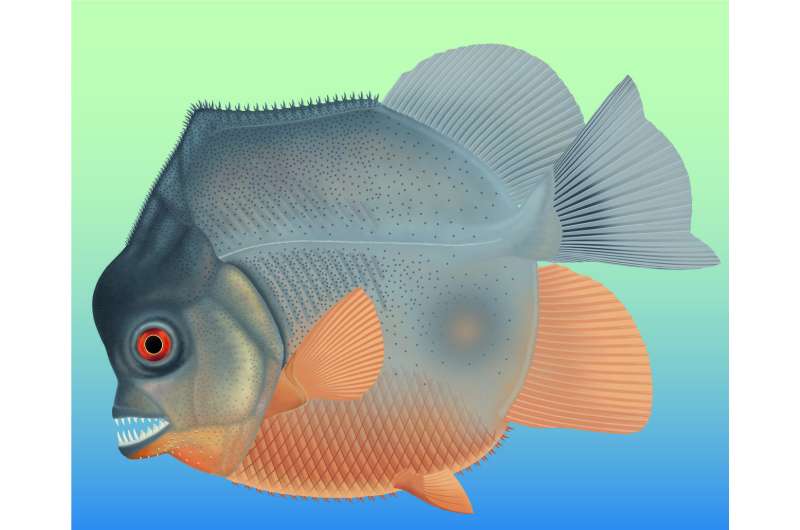150-million-year old, piranha-like specimen is earliest known flesh-eating fish