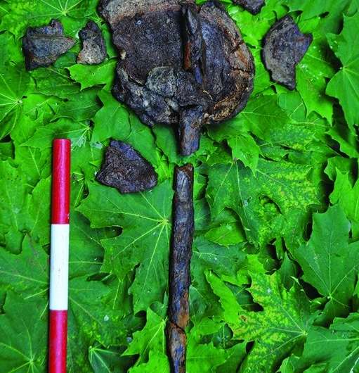 8000-year old underwater burial site reveals human skulls mounted on poles
