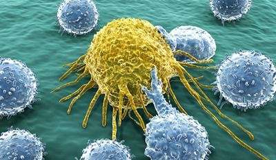癌症免疫疗法的结合可以挽救更多的生命