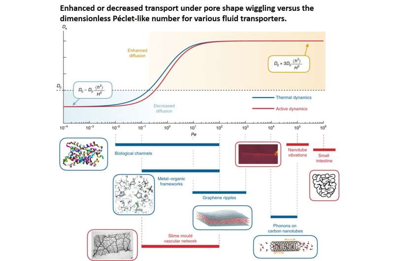A complex interplay between transport and dispersion across wiggling nanopores.