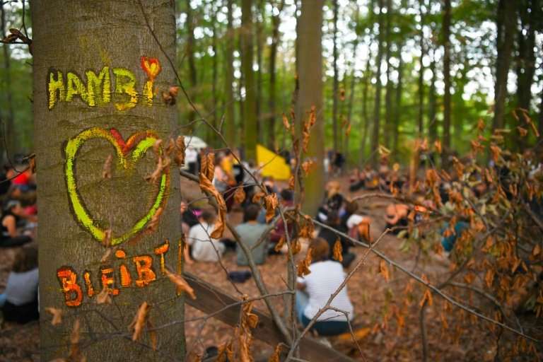 Activists have occupied the ancient forest for six years, their protest a symbol of opposition to dirty coal, and they had cause