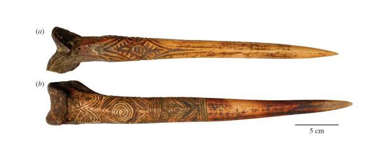 A handout picture released from researcher Nathaniel Dominy shows a human thigh bone dagger attributed to the Upper Sepik River 