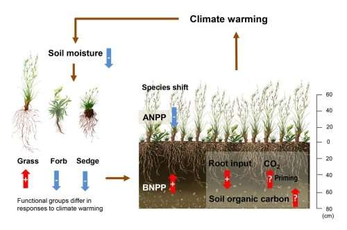 Alpine grassland productivity not sensitive to climate warming on third pole